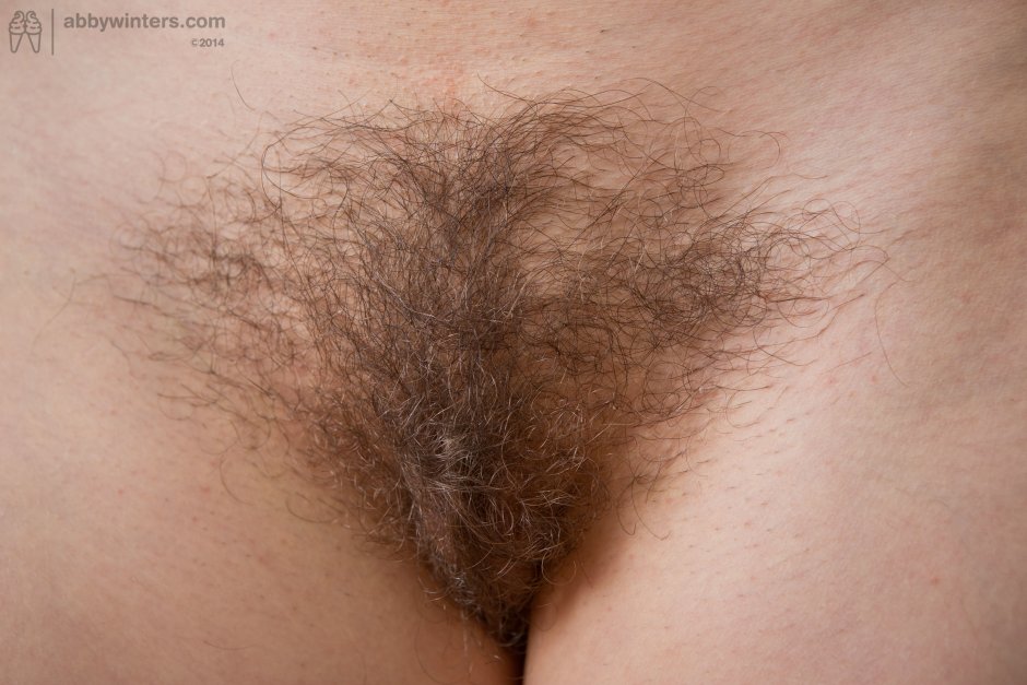 Волосатая киска