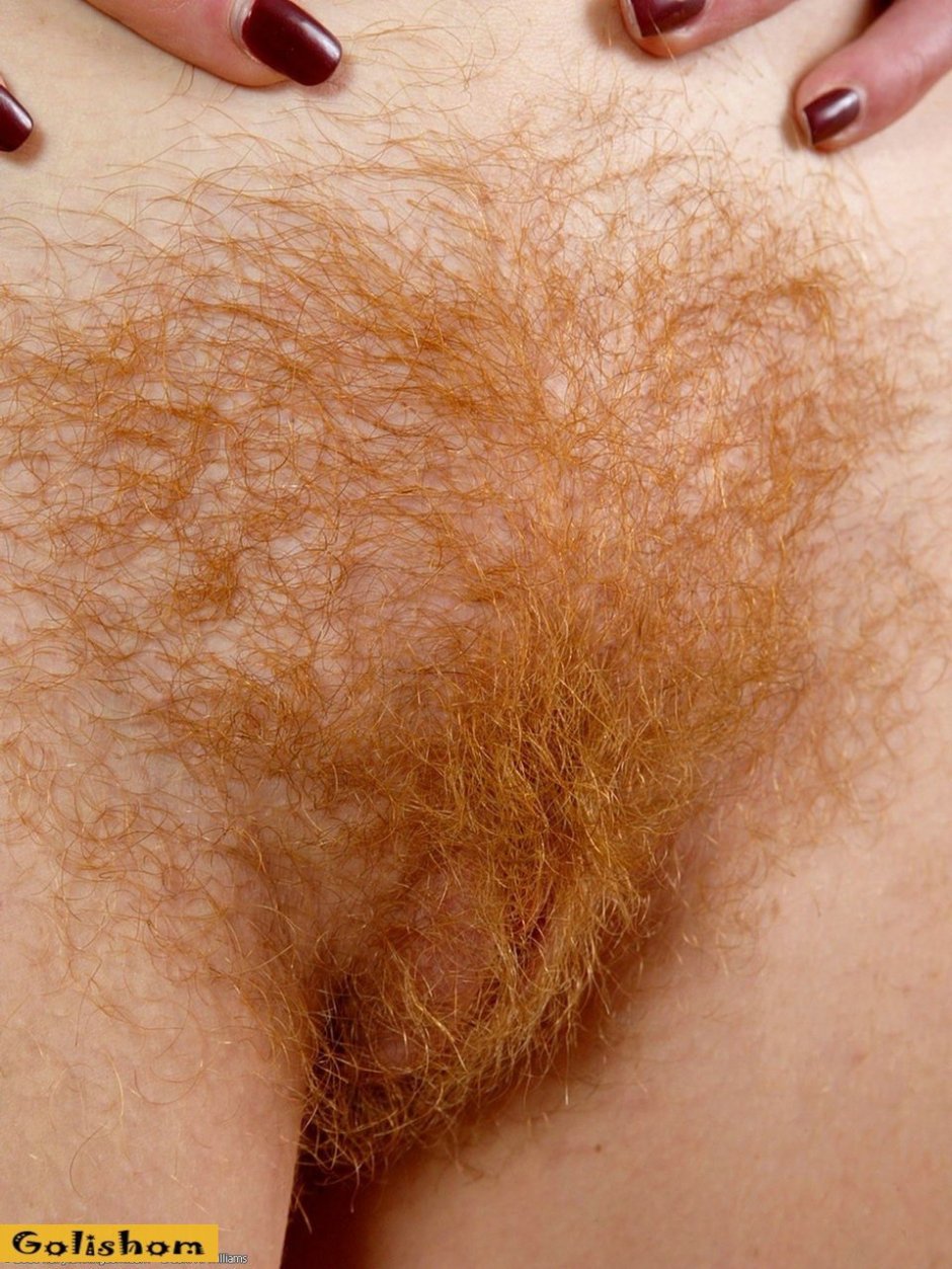 Рыжие лобковые волосы женские