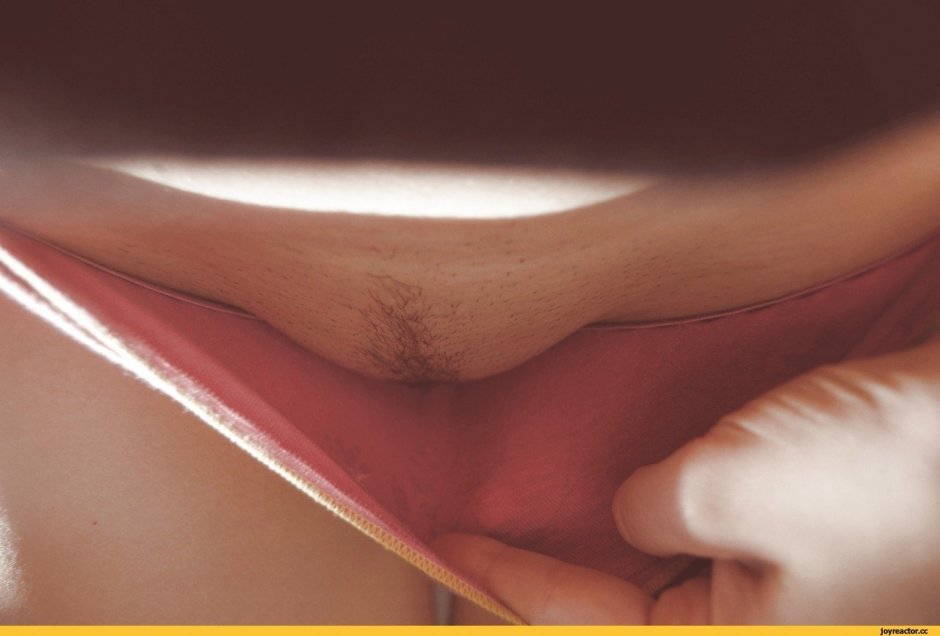 Женский лобок под трусиками