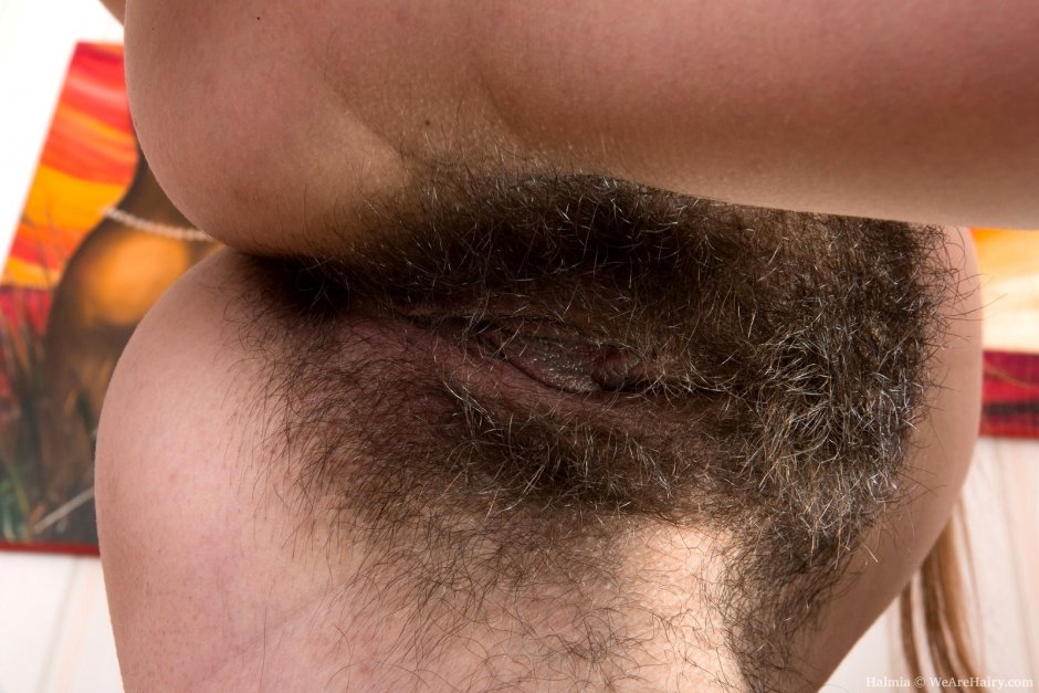 Очень волосатый женский лобок