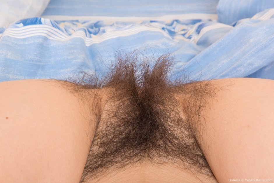 Лобковые волосы