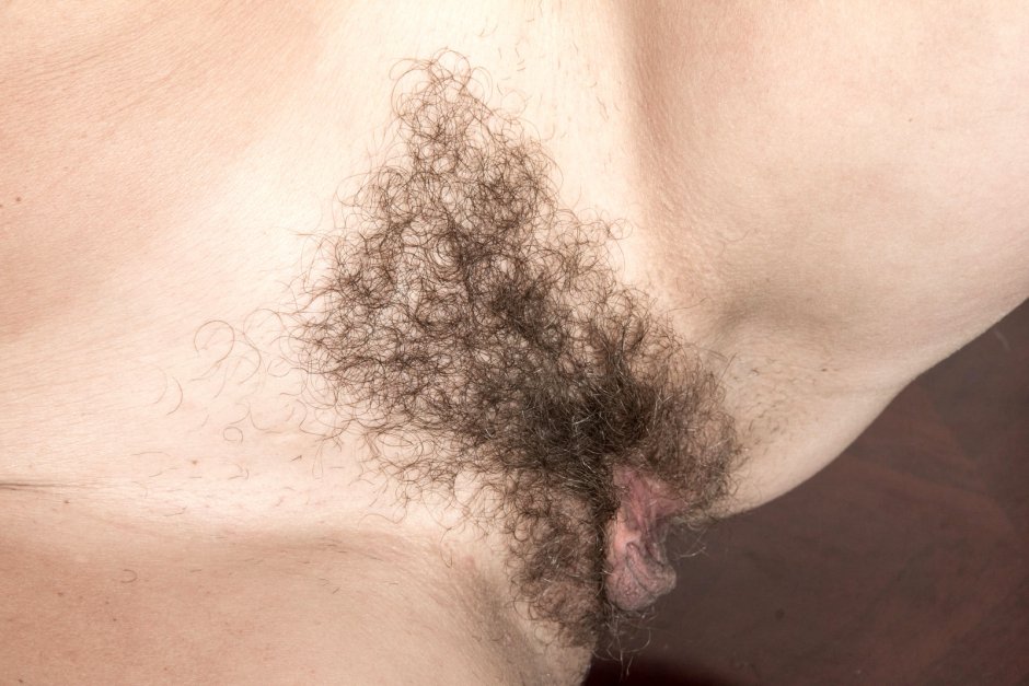 Волосатые женские лобки