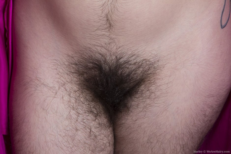 Волосатая лобок
