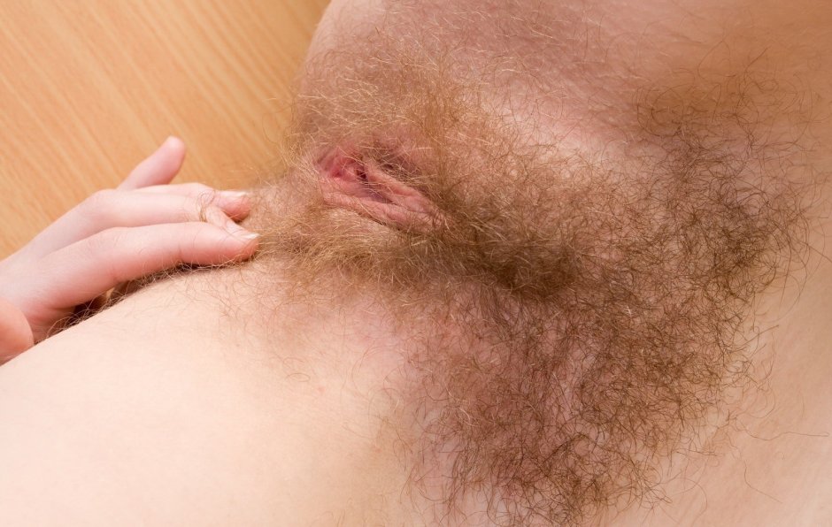 Пушистые женские письки