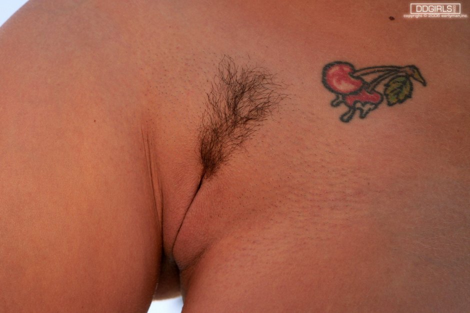 Женские прически на лобке