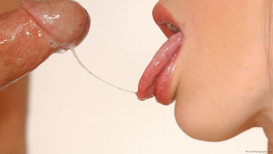 Минет крупным планом мокрый член