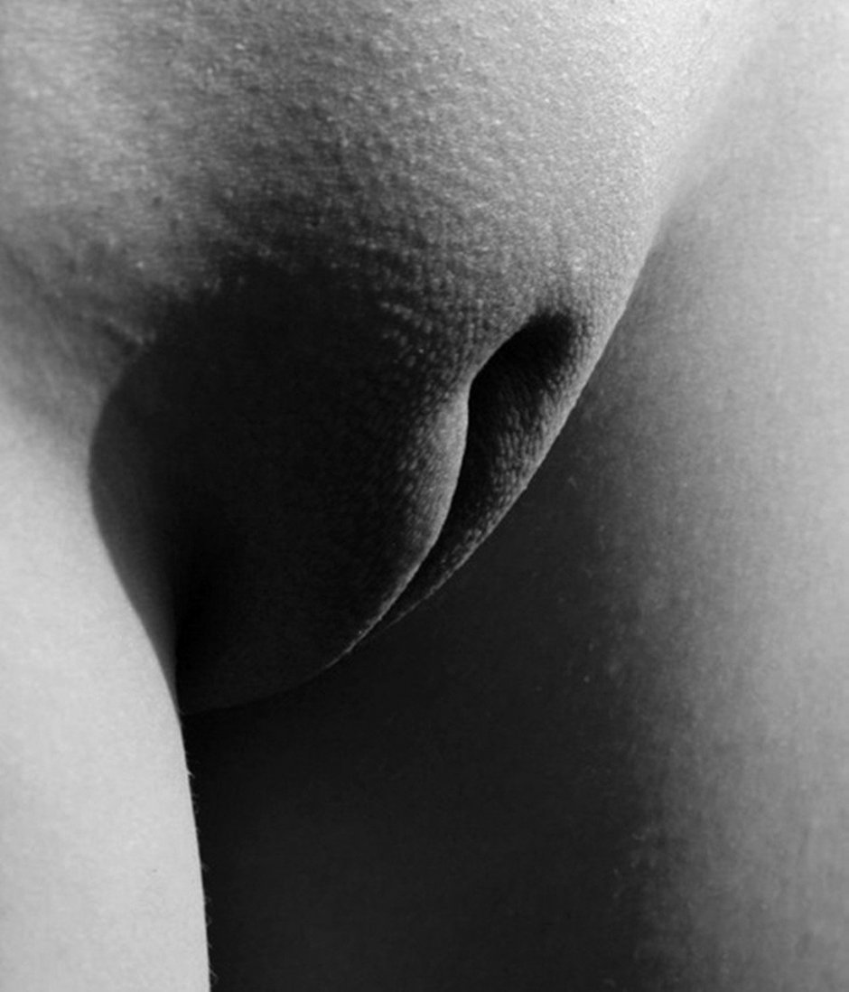 Женские лобки