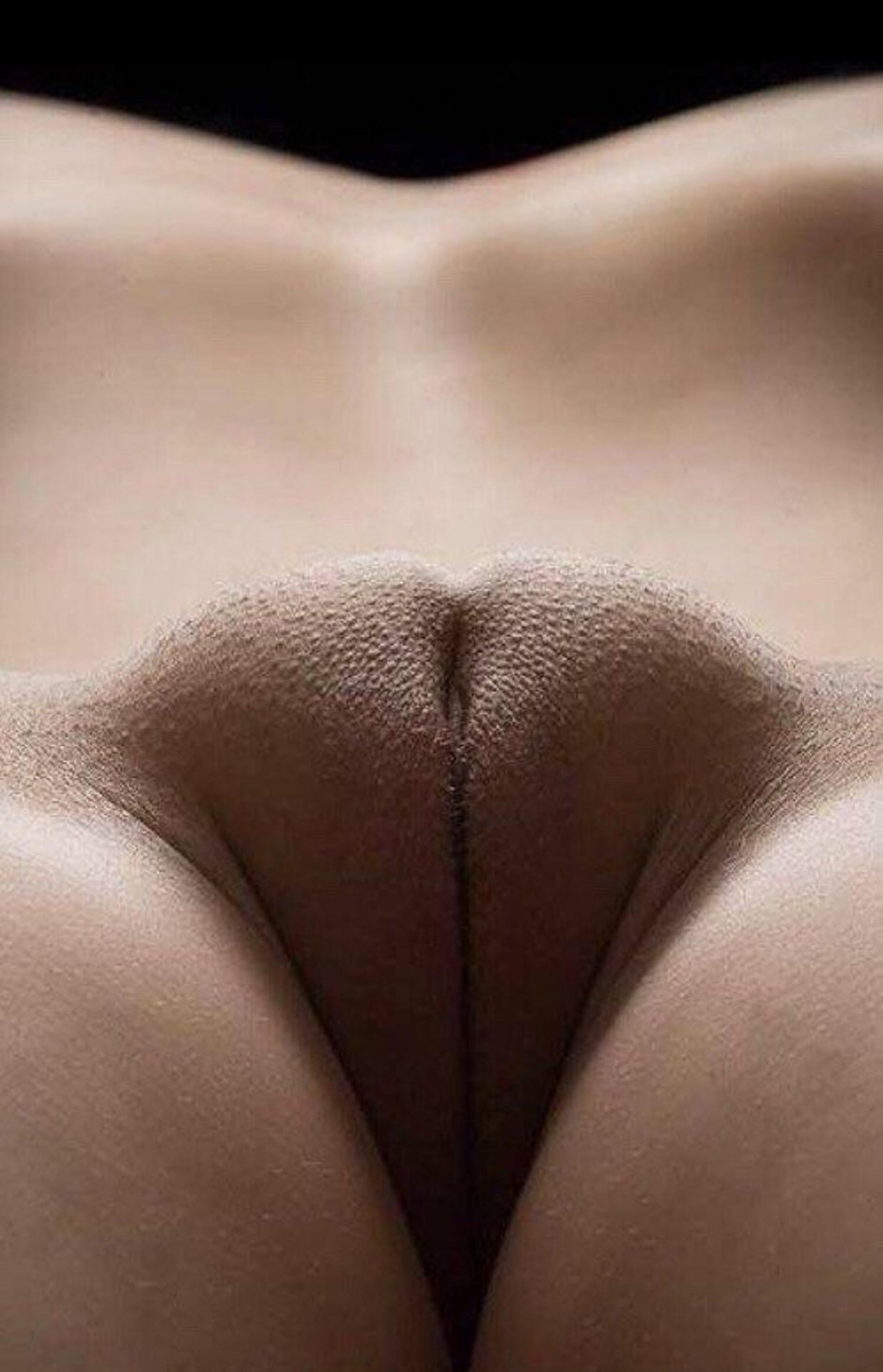 Лобок в трусах