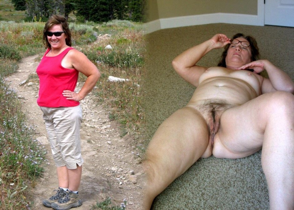 Древоточец пахучий бабочка