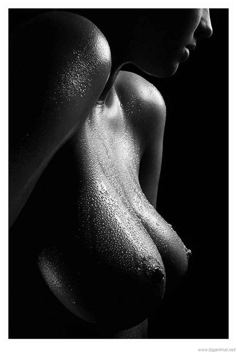 Красивое черно белое ню