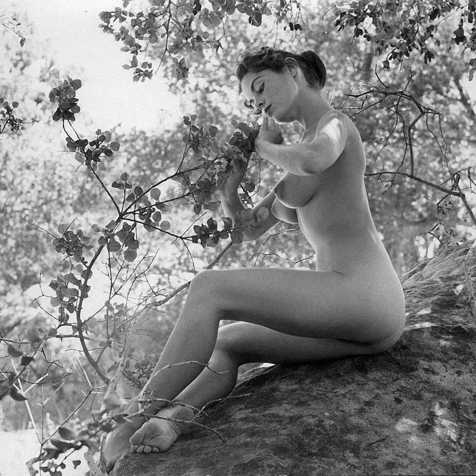 Дихавичюс Римантас Дихавичюс