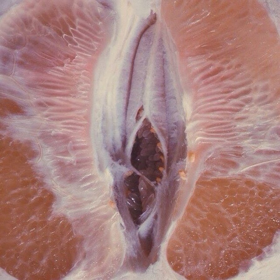 Половые органы