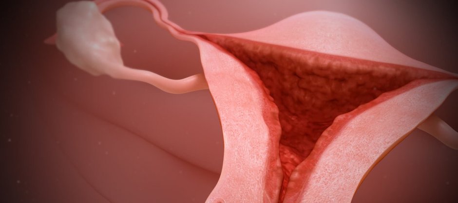 Женские выделения