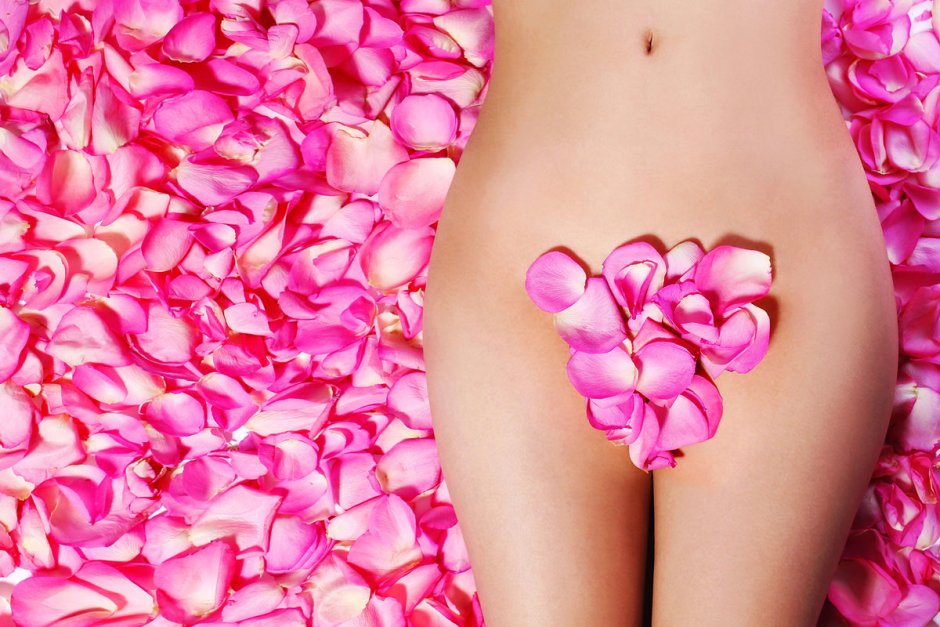 Женская половая система