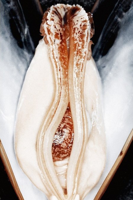 Depilatory wax