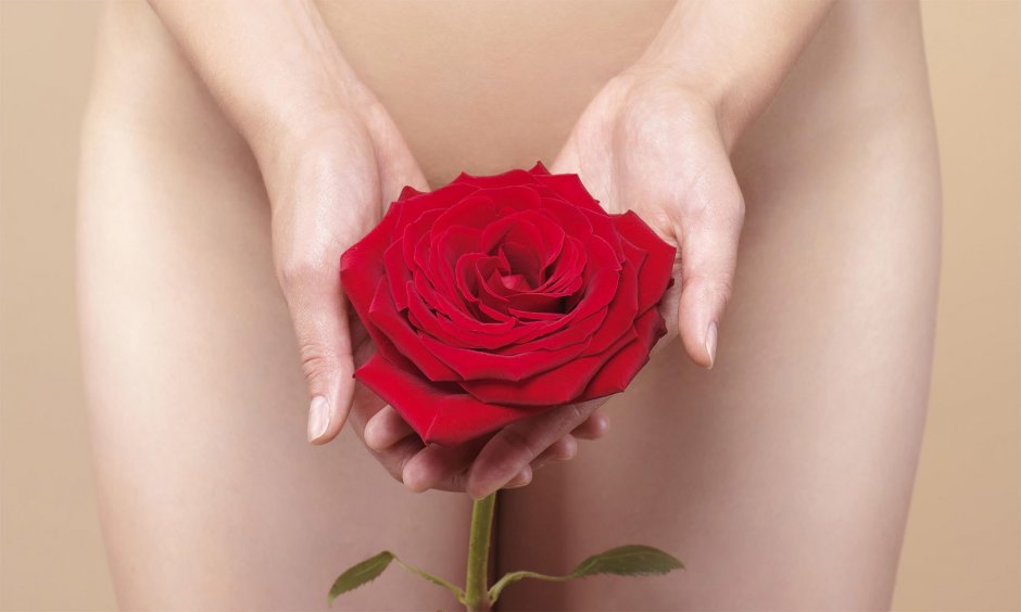 Женская гениталия фото