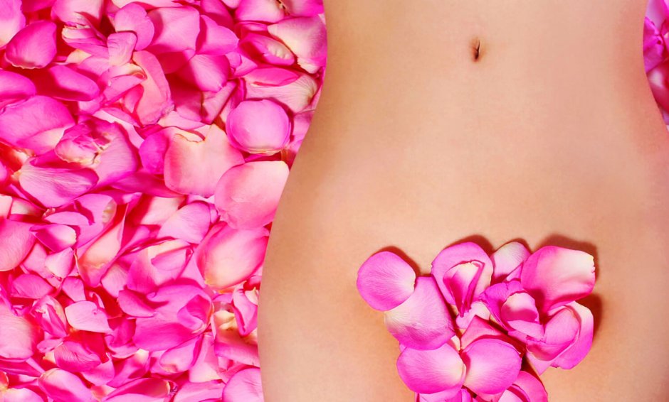 Расположение половых органов у женщин