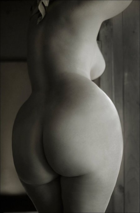 Plump female asses