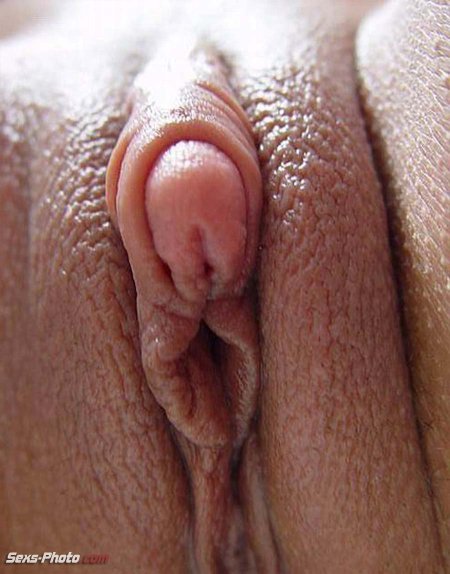Beautiful female clitoris