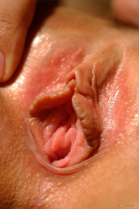 Large female genitals