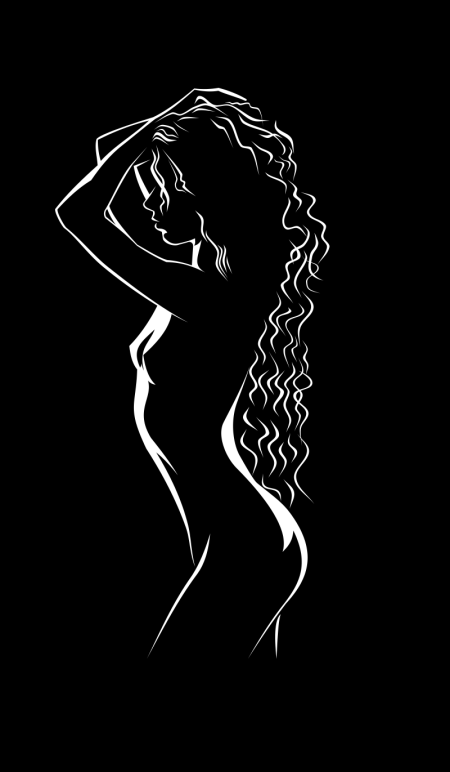 Beautiful female silhouette