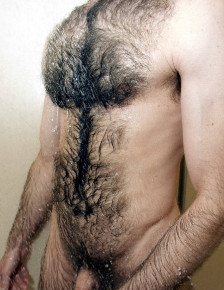 Beautiful naked hairy guys