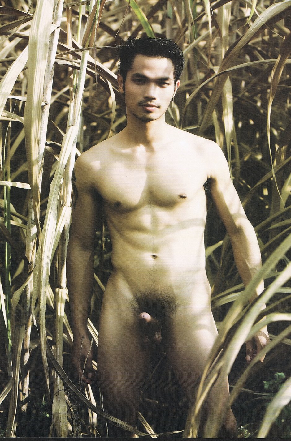 Голые китайские мужчины
