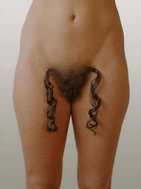 Erotic pubic hairstyles