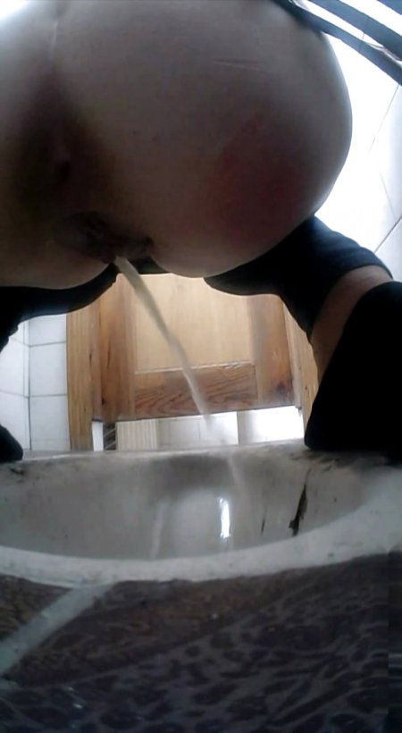 Hidden toilet