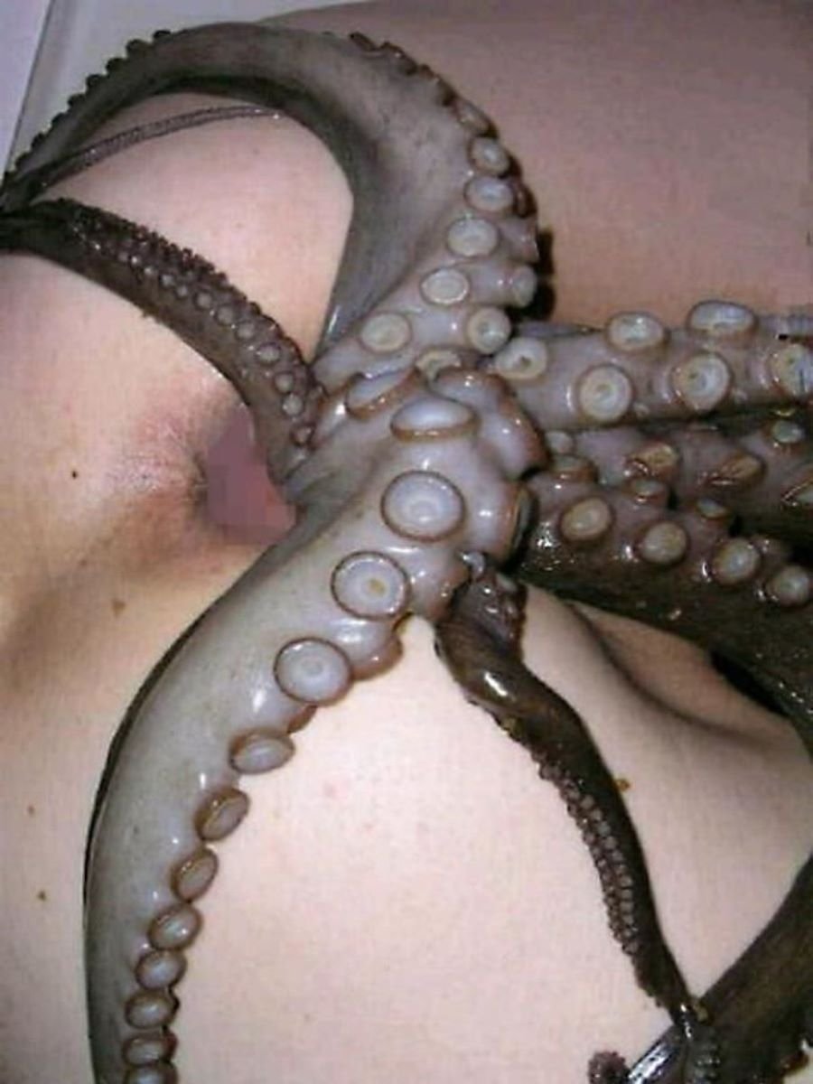 Live octopus porn