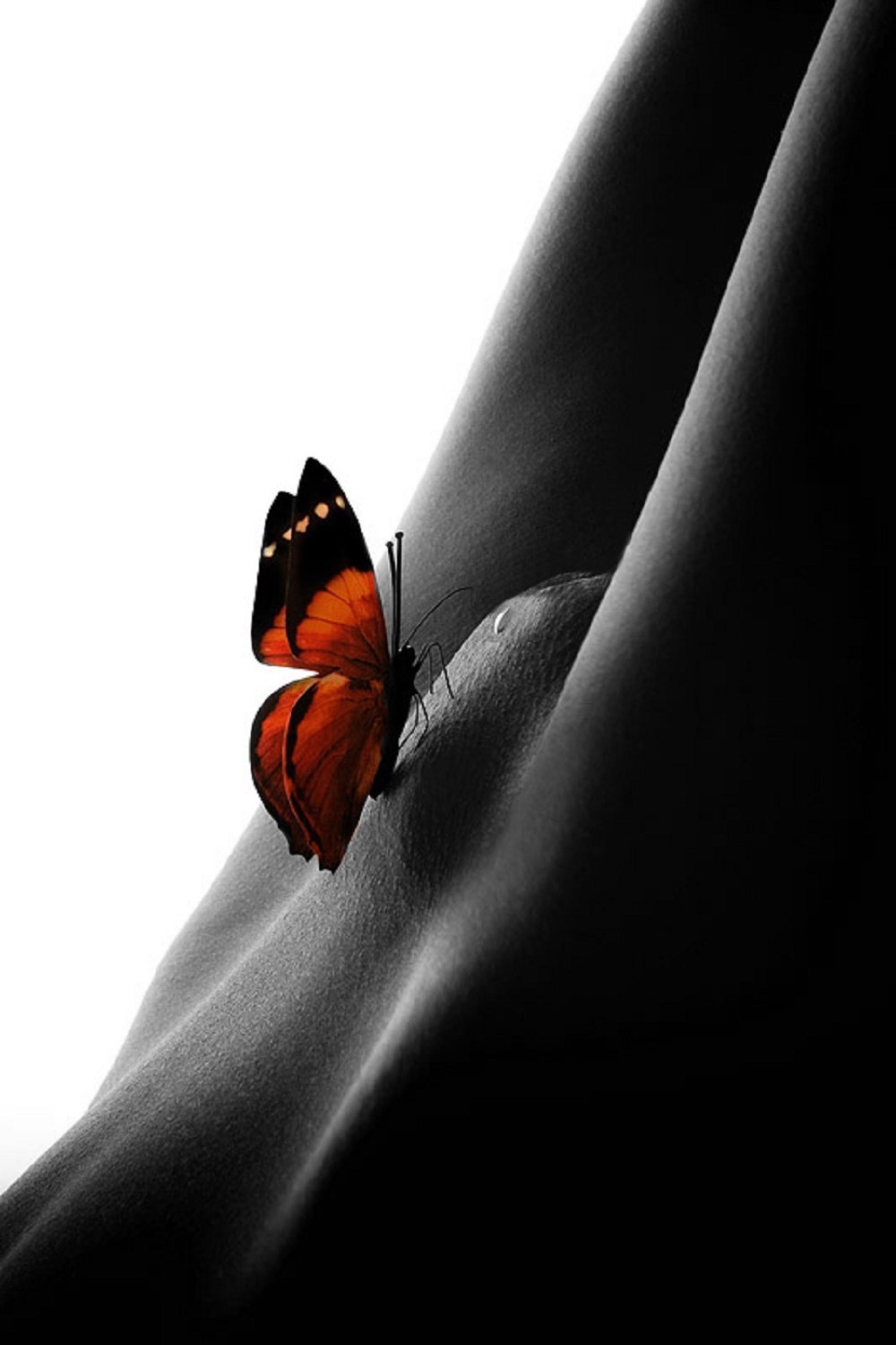 Самые Новые порно видео по тегу: ночные бабочки на ХУЯМБА
