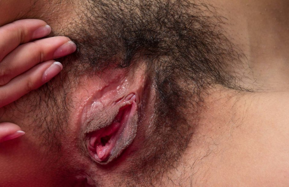 Огромная волосатая вагина