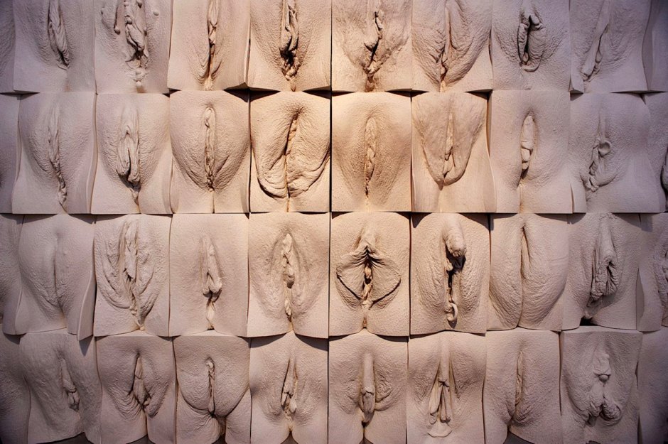 Необычная форма женской вагины