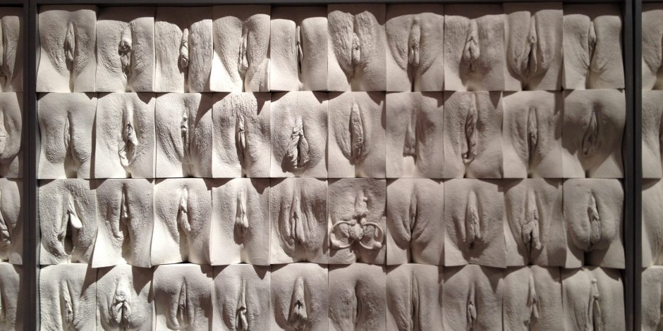 Разные формы женских писечек