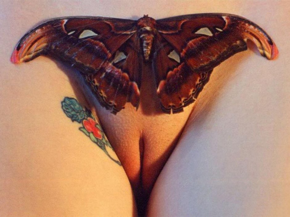 Порно с бабочкой на пизде