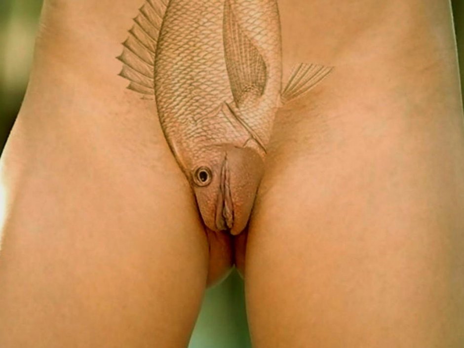 Женские прелести крупно