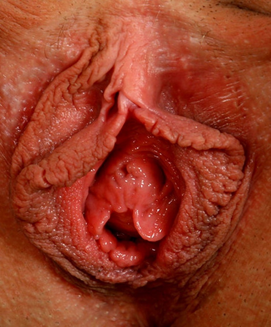 Женская вагина изнутри