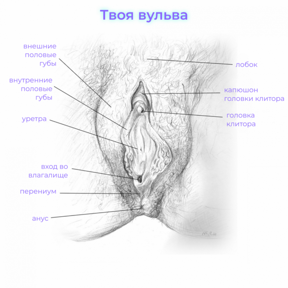 Красивая женская промежность