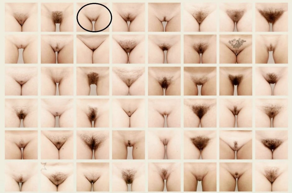 Красивая женская промежность