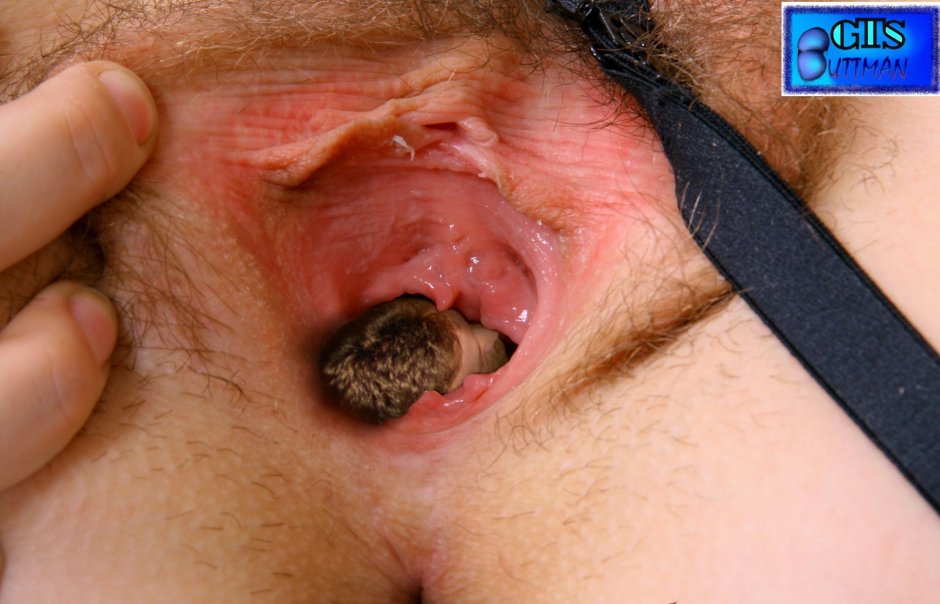 Красивые волосатые писечки