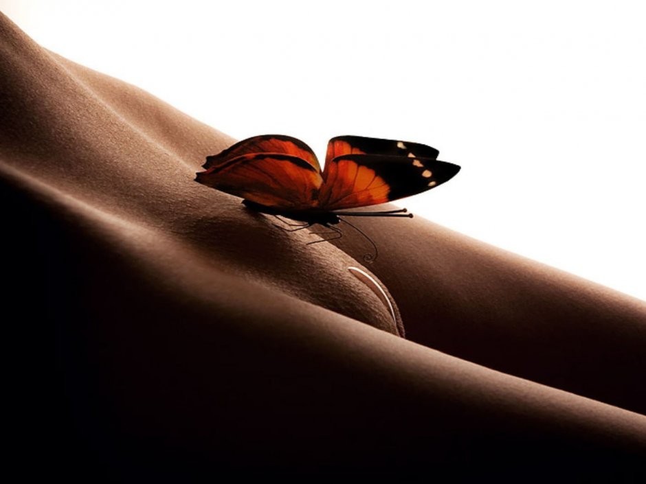 Бабочки свободны голая