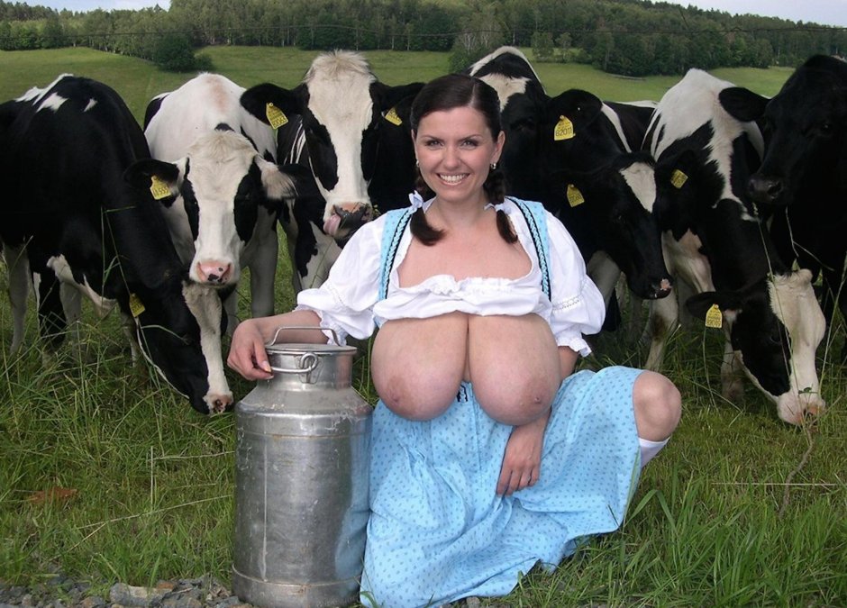 Голые доярки в колготках