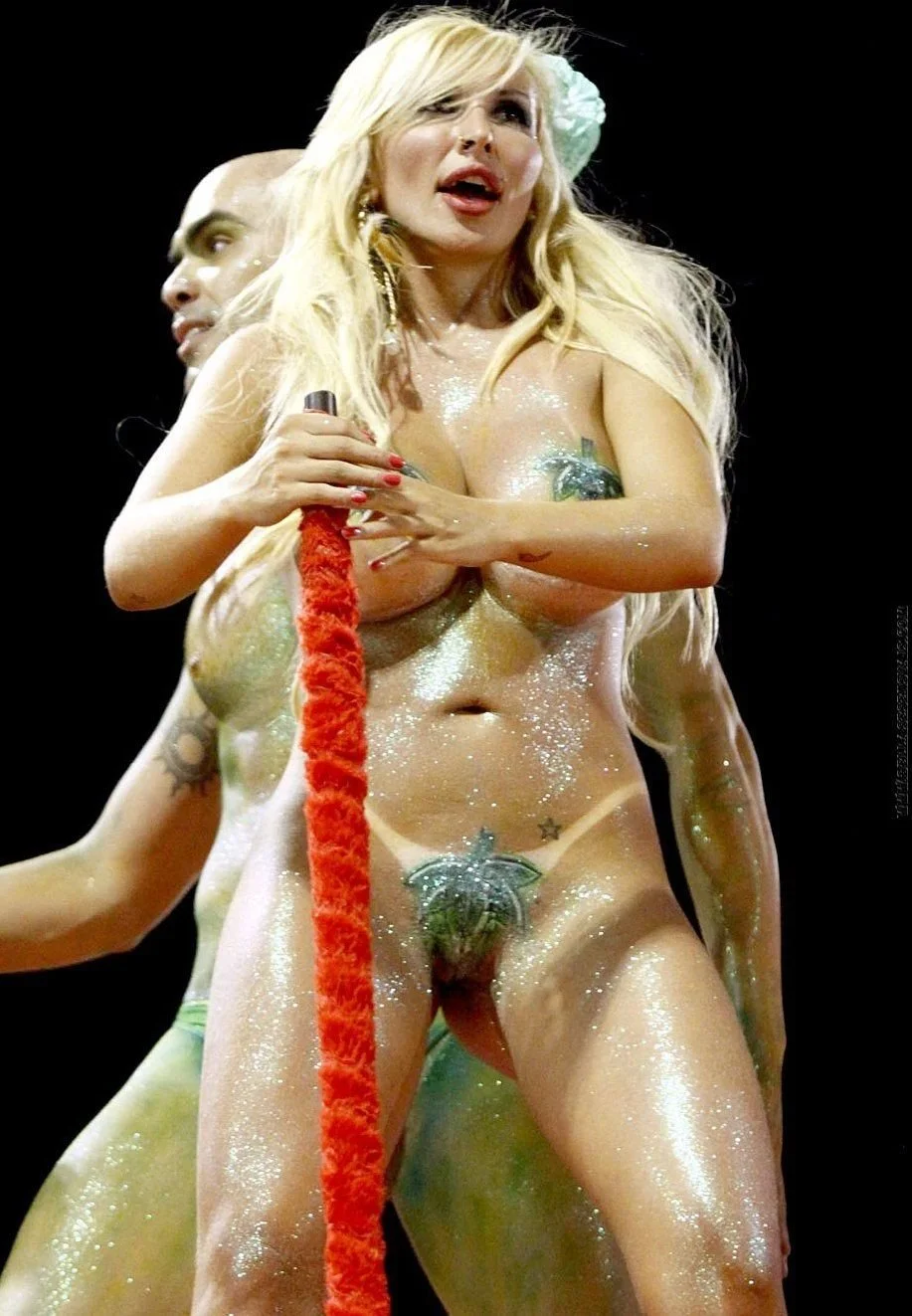 Карнавал в Рио-де-Жанейро ню