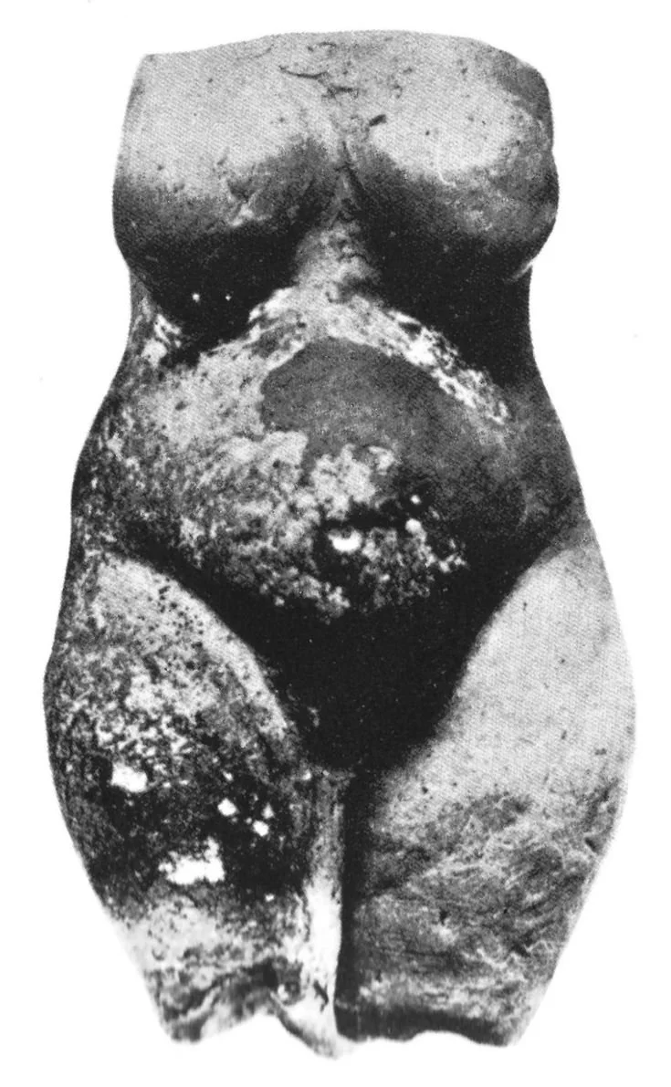 Моника Шейди африканка