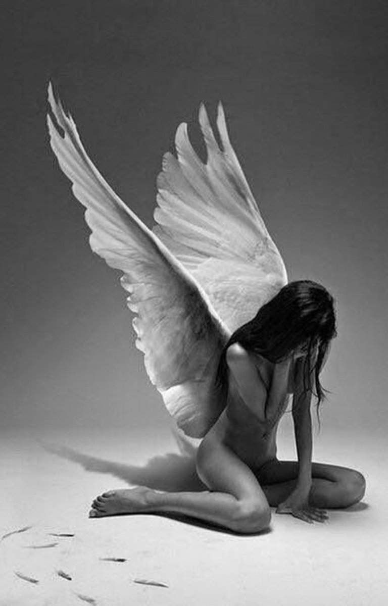 Девушка с крыльями - 85 photo