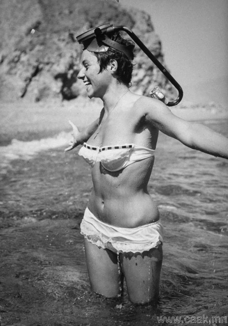 Джун пикни модель