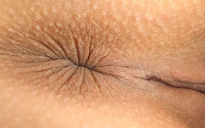 Огромные попки крупным планом