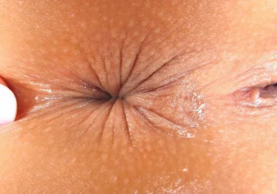 Голые женские попки крупно