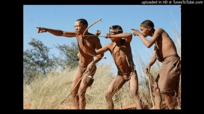 Бушмены народ африки