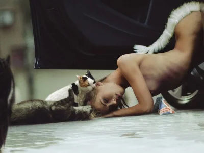 Слава кошка модель